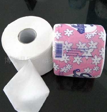 供應(yīng)專(zhuān)業(yè)生產(chǎn)衛(wèi)生紙坐廁紙 再生紙 小卷紙批發(fā)