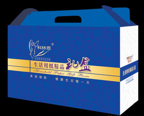 各種衛生紙卷紙，衛生紙盤紙，擦手紙，等生活用紙