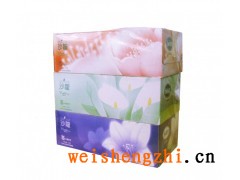 供應(yīng)廣西手帕紙/大、小盤紙/盒抽/抽取式面巾紙廠家