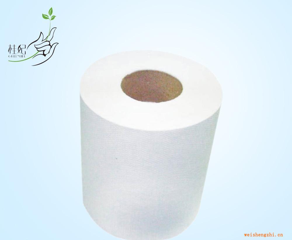【桂妃牌】高質量木漿+蔗渣漿擦手紙—挺度好