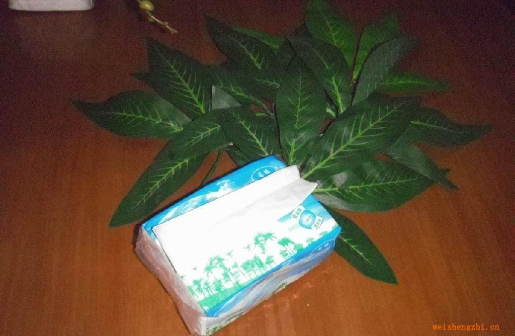 優質100抽雙層獨特壓花抽衛