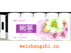 滿城縣嘉軒彩印有限公司|衛生紙包裝袋|衛生紙彩印|塑料袋|