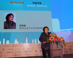 賀燕麗：造紙“十二五”中期評估及“十三五”展望