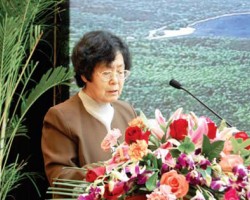 廣東造紙工業要做全球生產出口基地——訪中國造紙協會常務副理事長曹樸芳