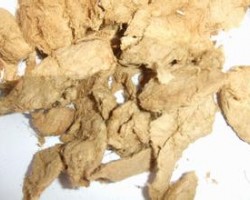 竹漿造紙將是未來造紙主要趨勢