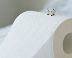 一年減稅數千萬元 減稅降費助力造紙企業“環保升級”