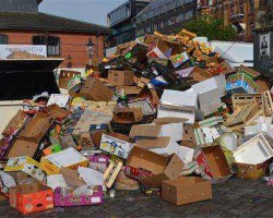 等了一個月 進口廢紙核定量為0！