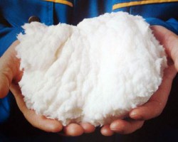 上半年闊葉漿價格震蕩下行 下半年拐點何時出現(xiàn)？