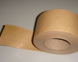 玖龍紙業(yè)將在海南打造再生資源交易平臺基地