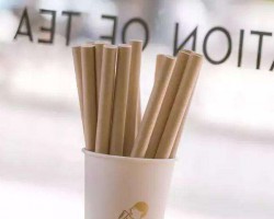 限塑令首周：紙盒、紙吸管都沒貨 紙廠滿負荷生產